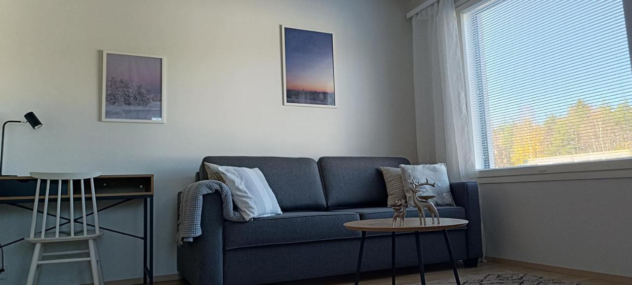 Kodikas Huoneisto, Oma Sauna, Ilmainen Pysaekoeinti Rovaniemi Dış mekan fotoğraf